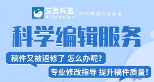 艾思编译 一站式学术服务专家的卓越之旅